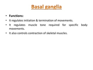 • Functions:
• It regulates initiation & termination of movements.
• It regulates muscle tone required for specific body
movements.
• It also controls contraction of skeletal muscles.
 