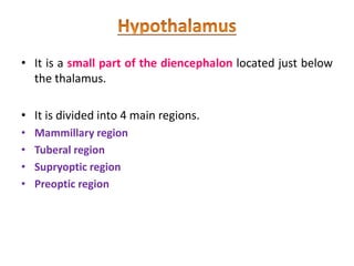 • It is a small part of the diencephalon located just below
the thalamus.
• It is divided into 4 main regions.
• Mammillary region
• Tuberal region
• Supryoptic region
• Preoptic region
 