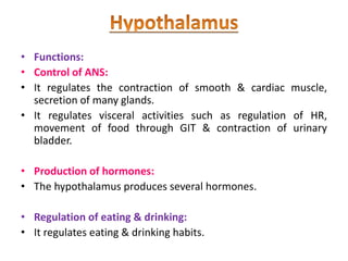• Functions:
• Control of ANS:
• It regulates the contraction of smooth & cardiac muscle,
secretion of many glands.
• It regulates visceral activities such as regulation of HR,
movement of food through GIT & contraction of urinary
bladder.
• Production of hormones:
• The hypothalamus produces several hormones.
• Regulation of eating & drinking:
• It regulates eating & drinking habits.
 