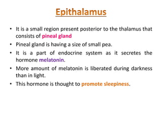 • It is a small region present posterior to the thalamus that
consists of pineal gland
• Pineal gland is having a size of small pea.
• It is a part of endocrine system as it secretes the
hormone melatonin.
• More amount of melatonin is liberated during darkness
than in light.
• This hormone is thought to promote sleepiness.
 