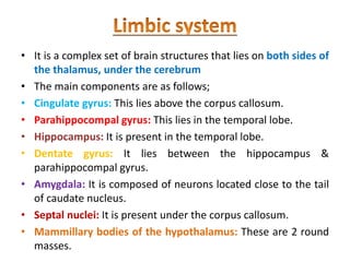 • It is a complex set of brain structures that lies on both sides of
the thalamus, under the cerebrum
• The main components are as follows;
• Cingulate gyrus: This lies above the corpus callosum.
• Parahippocompal gyrus: This lies in the temporal lobe.
• Hippocampus: It is present in the temporal lobe.
• Dentate gyrus: It lies between the hippocampus &
parahippocompal gyrus.
• Amygdala: It is composed of neurons located close to the tail
of caudate nucleus.
• Septal nuclei: It is present under the corpus callosum.
• Mammillary bodies of the hypothalamus: These are 2 round
masses.
 
