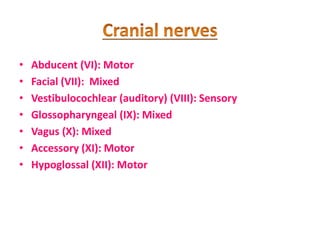 • Abducent (VI): Motor
• Facial (VII): Mixed
• Vestibulocochlear (auditory) (VIII): Sensory
• Glossopharyngeal (IX): Mixed
• Vagus (X): Mixed
• Accessory (XI): Motor
• Hypoglossal (XII): Motor
 
