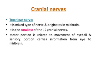 • Trochlear nerve:
• It is mixed type of nerve & originates in midbrain.
• It is the smallest of the 12 cranial nerves.
• Motor portion is related to movement of eyeball &
sensory portion carries information from eye to
midbrain.
 