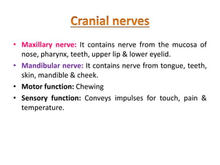 • Maxillary nerve: It contains nerve from the mucosa of
nose, pharynx, teeth, upper lip & lower eyelid.
• Mandibular nerve: It contains nerve from tongue, teeth,
skin, mandible & cheek.
• Motor function: Chewing
• Sensory function: Conveys impulses for touch, pain &
temperature.
 