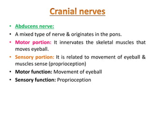 • Abducens nerve:
• A mixed type of nerve & originates in the pons.
• Motor portion: It innervates the skeletal muscles that
moves eyeball.
• Sensory portion: It is related to movement of eyeball &
muscles sense (proprioception)
• Motor function: Movement of eyeball
• Sensory function: Proprioception
 