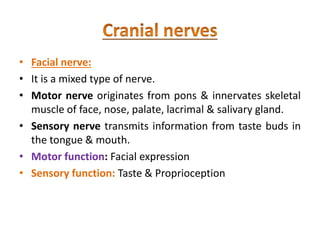 • Facial nerve:
• It is a mixed type of nerve.
• Motor nerve originates from pons & innervates skeletal
muscle of face, nose, palate, lacrimal & salivary gland.
• Sensory nerve transmits information from taste buds in
the tongue & mouth.
• Motor function: Facial expression
• Sensory function: Taste & Proprioception
 