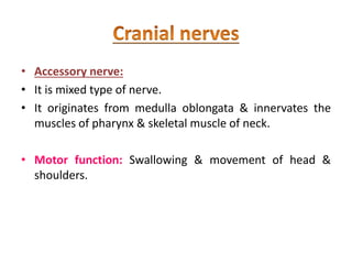 • Accessory nerve:
• It is mixed type of nerve.
• It originates from medulla oblongata & innervates the
muscles of pharynx & skeletal muscle of neck.
• Motor function: Swallowing & movement of head &
shoulders.
 