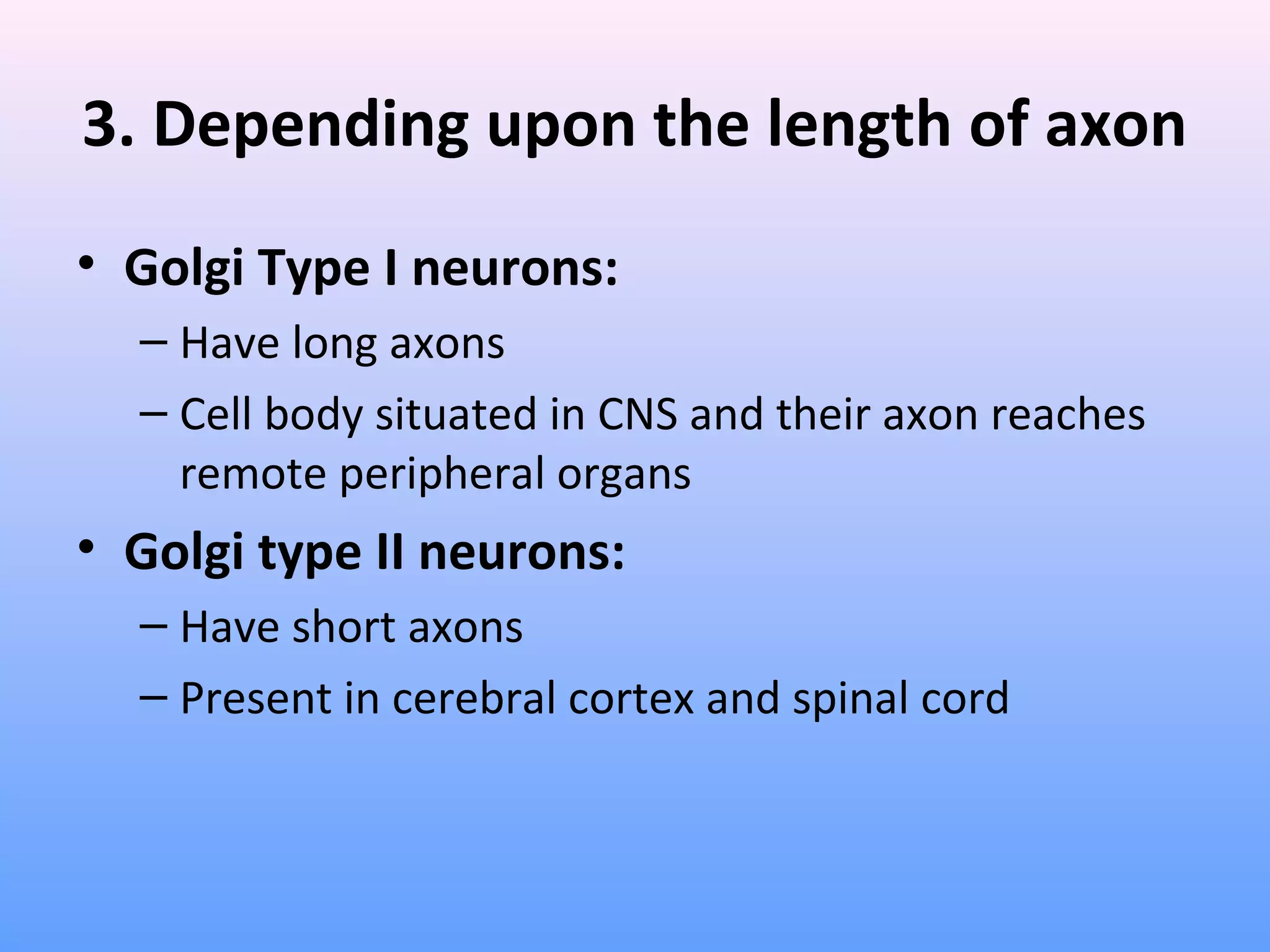 3. Depending upon the length of axon
• Golgi Type I neurons:
– Have long axons
– Cell body situated in CNS and their axon reaches
remote peripheral organs
• Golgi type II neurons:
– Have short axons
– Present in cerebral cortex and spinal cord
 