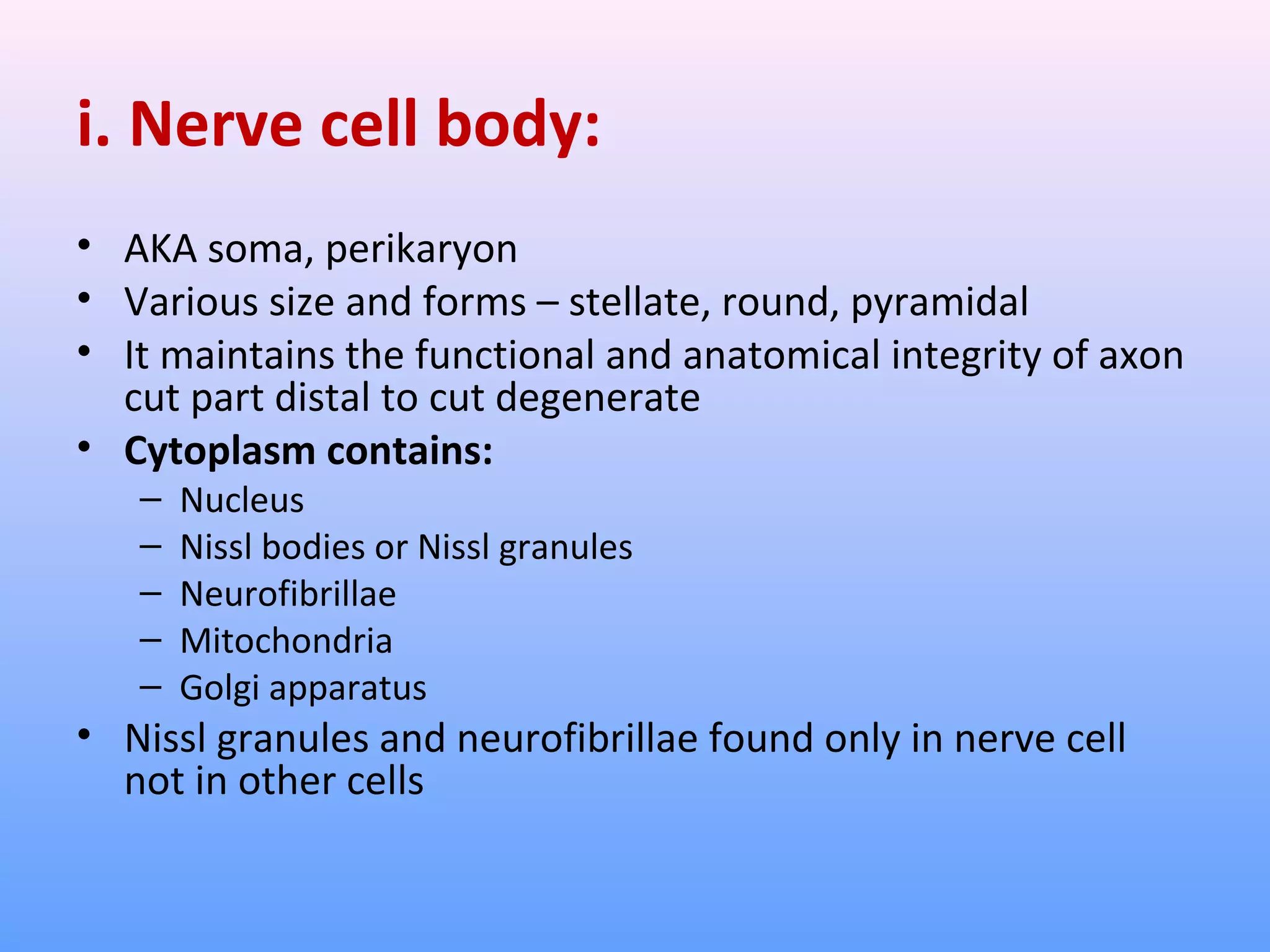 i. Nerve cell body:
• AKA soma, perikaryon
• Various size and forms – stellate, round, pyramidal
• It maintains the functional and anatomical integrity of axon
cut part distal to cut degenerate
• Cytoplasm contains:
– Nucleus
– Nissl bodies or Nissl granules
– Neurofibrillae
– Mitochondria
– Golgi apparatus
• Nissl granules and neurofibrillae found only in nerve cell
not in other cells
 