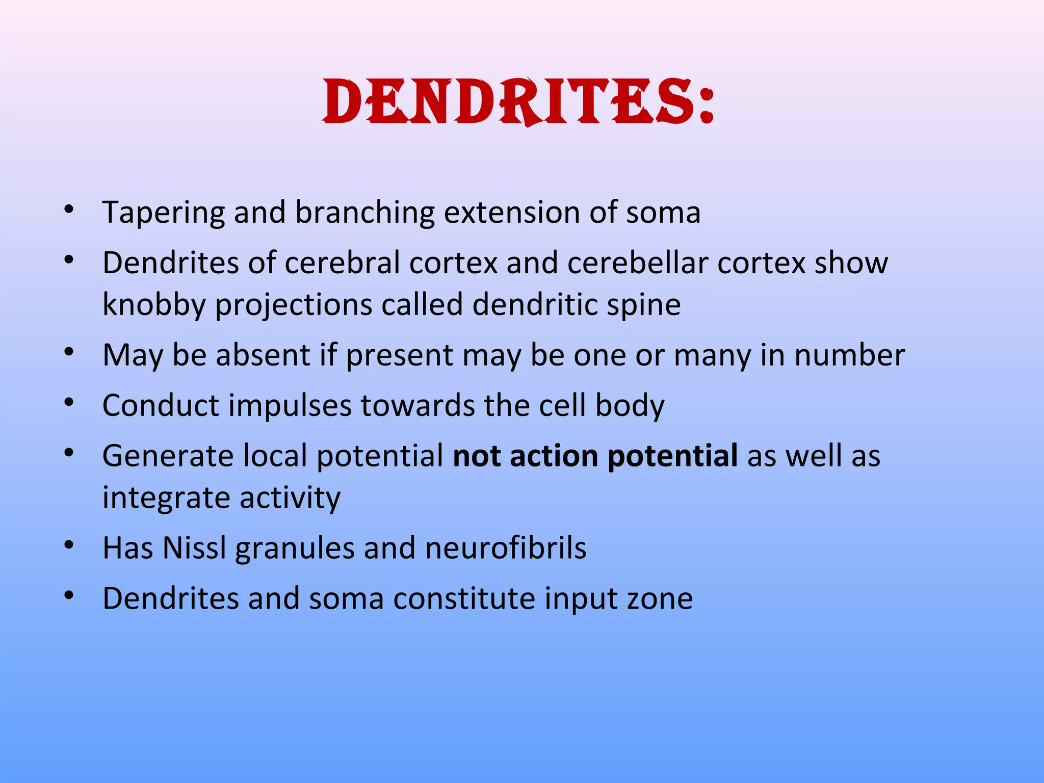 DENDRITES:
• Tapering and branching extension of soma
• Dendrites of cerebral cortex and cerebellar cortex show
knobby projections called dendritic spine
• May be absent if present may be one or many in number
• Conduct impulses towards the cell body
• Generate local potential not action potential as well as
integrate activity
• Has Nissl granules and neurofibrils
• Dendrites and soma constitute input zone
 