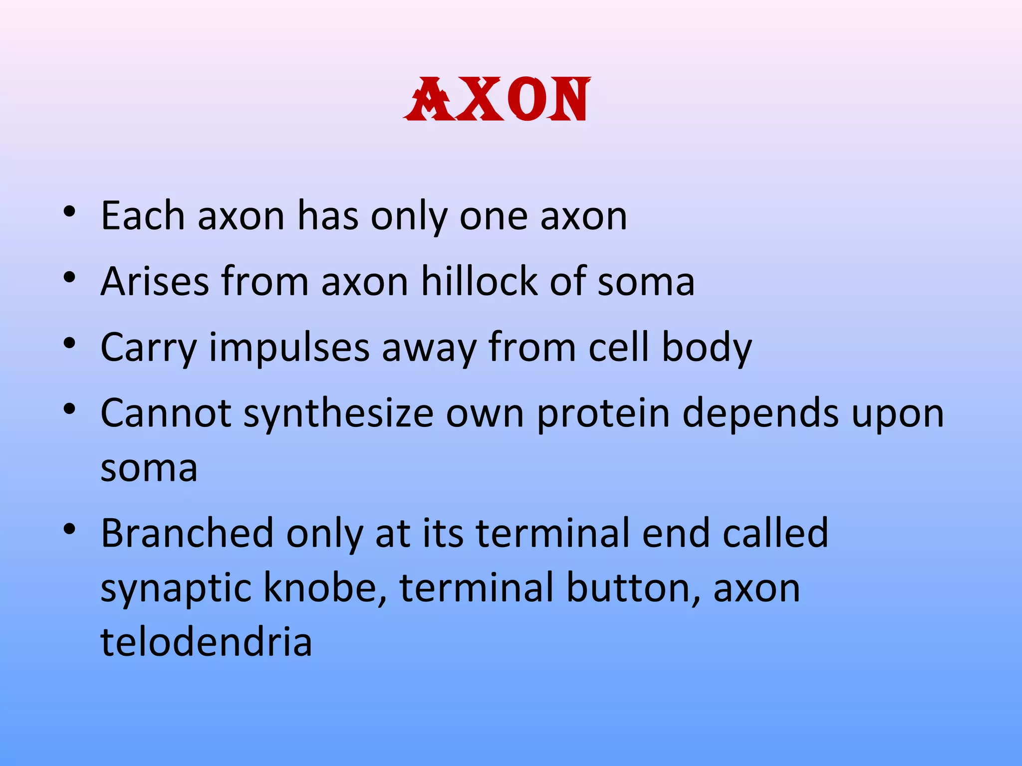 AxoN
• Each axon has only one axon
• Arises from axon hillock of soma
• Carry impulses away from cell body
• Cannot synthesize own protein depends upon
soma
• Branched only at its terminal end called
synaptic knobe, terminal button, axon
telodendria
 