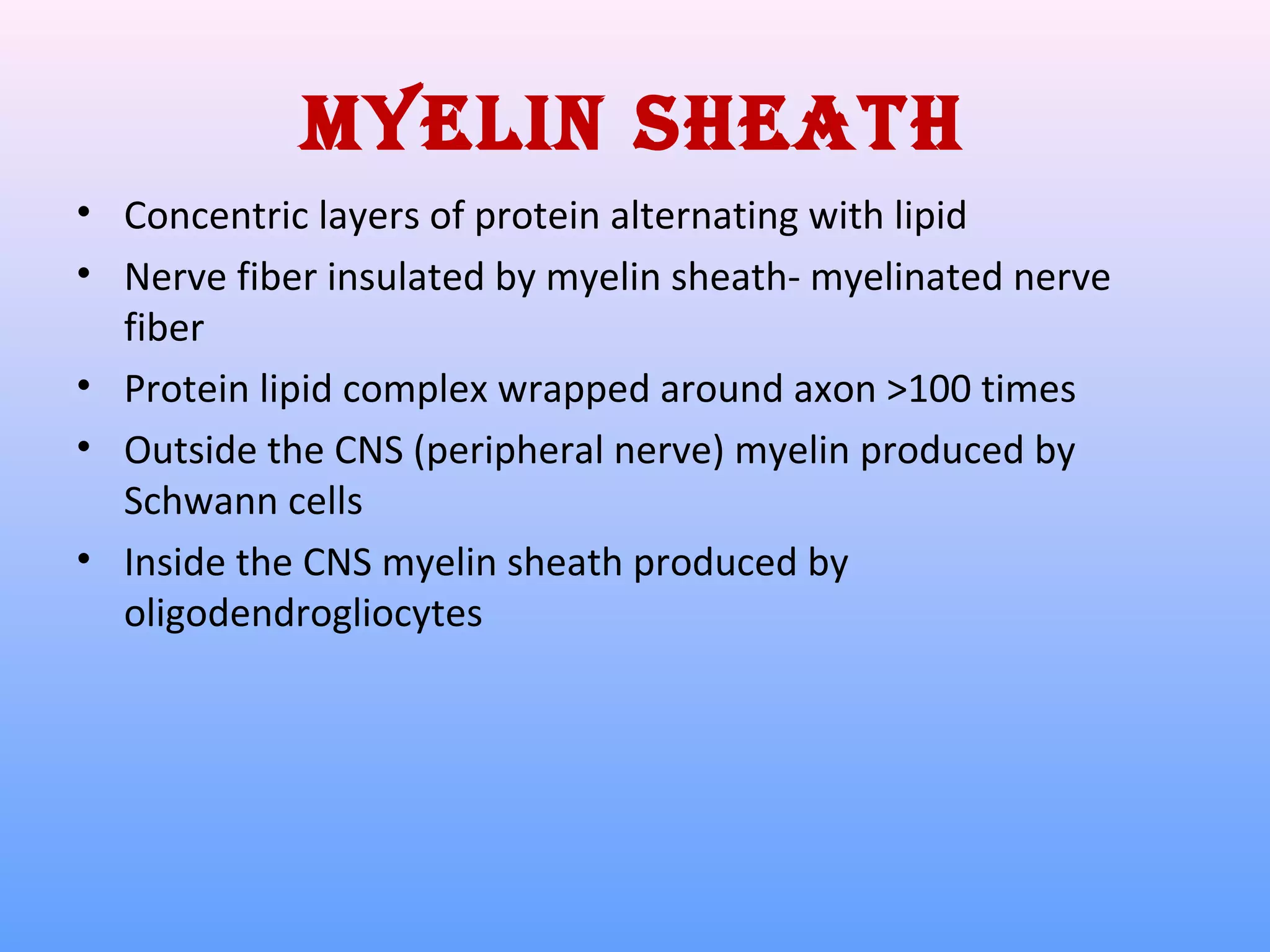 MyElIN ShEATh
• Concentric layers of protein alternating with lipid
• Nerve fiber insulated by myelin sheath- myelinated nerve
fiber
• Protein lipid complex wrapped around axon >100 times
• Outside the CNS (peripheral nerve) myelin produced by
Schwann cells
• Inside the CNS myelin sheath produced by
oligodendrogliocytes
 