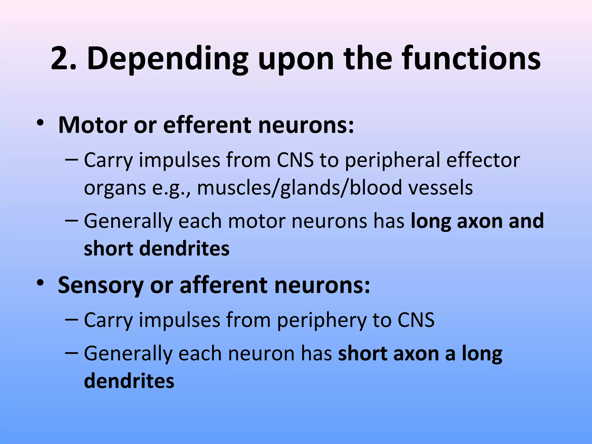 2. Depending upon the functions
• Motor or efferent neurons:
– Carry impulses from CNS to peripheral effector
organs e.g., muscles/glands/blood vessels
– Generally each motor neurons has long axon and
short dendrites
• Sensory or afferent neurons:
– Carry impulses from periphery to CNS
– Generally each neuron has short axon a long
dendrites
 