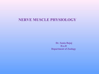 NERVE MUSCLE PHYSIOLOGY
Dr. Sonia Bajaj
H.o.D
Department of Zoology
 