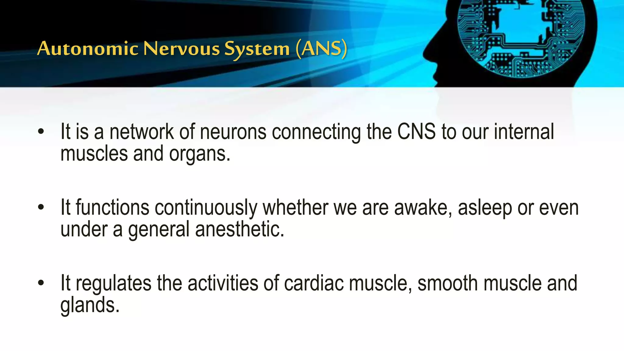 Nervous system- SYMPATHETIC and PARASYMPATHETIC | PPTX