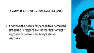 SYMPATHETIC NERVOUS SYSTEM (sNS)
 It controls the body's responses to a perceived
threat and is responsible for the "fight or flight"
response or controls the body’s stress
response.
 