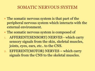 SOMATIC NERVOUS SYSTEM
 The somatic nervous system is that part of the
peripheral nervous system which interacts with the
external environment.
 The somatic nervous system is composed of
1. AFFERENT(SENSORY) NERVES - which carry
sensory signals from the skin, skeletal muscles,
joints, eyes, ears, etc.. to the CNS.
2. EFFERENT(MOTOR) NERVES – which carry
signals from the CNS to the skeletal muscles.
 