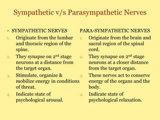 Sympathetic v/s Parasympathetic Nerves
 SYMPATHETIC NERVES
1. Originate from the lumbar
and thoracic region of the
spine.
2. They synapse on 2nd stage
neurons at a distance from
the target organ.
3. Stimulate, organize &
mobilize energy in conditions
of threat.
4. Indicate state of
psychological arousal.
PARA-SYMPATHETIC NERVES
1. Originate from the brain and
sacral region of the spinal
cord.
2. They synapse on 2nd stage
neurons at a closer distance
from the target organ.
3. These nerves act to conserve
energy of the organs and the
body.
4. Indicate state of
psychological relaxation.
 