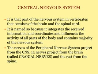 CENTRAL NERVOUS SYSTEM
 It is that part of the nervous system in vertebrates
that consists of the brain and the spinal cord.
 It is named so because it integrates the received
information and coordinates and influences the
activity of all parts of the body and contains majority
of the nervous system.
 The nerves of the Peripheral Nervous System project
from the CNS. 12 nerves project from the brain
(called CRANIAL NERVES) and the rest from the
spine.
 