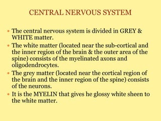 CENTRAL NERVOUS SYSTEM
 The central nervous system is divided in GREY &
WHITE matter.
 The white matter (located near the sub-cortical and
the inner region of the brain & the outer area of the
spine) consists of the myelinated axons and
oligodendrocytes.
 The grey matter (located near the cortical region of
the brain and the inner region of the spine) consists
of the neurons.
 It is the MYELIN that gives he glossy white sheen to
the white matter.
 