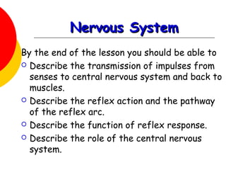 Nervous SystemNervous System
By the end of the lesson you should be able to
 Describe the transmission of impulses from
senses to central nervous system and back to
muscles.
 Describe the reflex action and the pathway
of the reflex arc.
 Describe the function of reflex response.
 Describe the role of the central nervous
system.
 