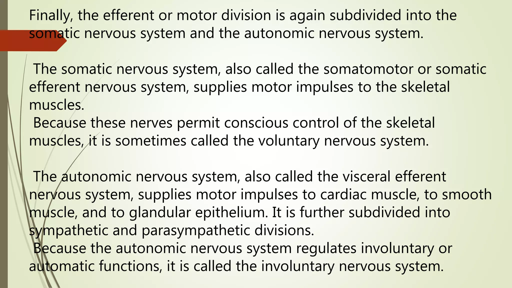 Finally, the efferent or motor division is again subdivided into the
somatic nervous system and the autonomic nervous system.
The somatic nervous system, also called the somatomotor or somatic
efferent nervous system, supplies motor impulses to the skeletal
muscles.
Because these nerves permit conscious control of the skeletal
muscles, it is sometimes called the voluntary nervous system.
The autonomic nervous system, also called the visceral efferent
nervous system, supplies motor impulses to cardiac muscle, to smooth
muscle, and to glandular epithelium. It is further subdivided into
sympathetic and parasympathetic divisions.
Because the autonomic nervous system regulates involuntary or
automatic functions, it is called the involuntary nervous system.
 