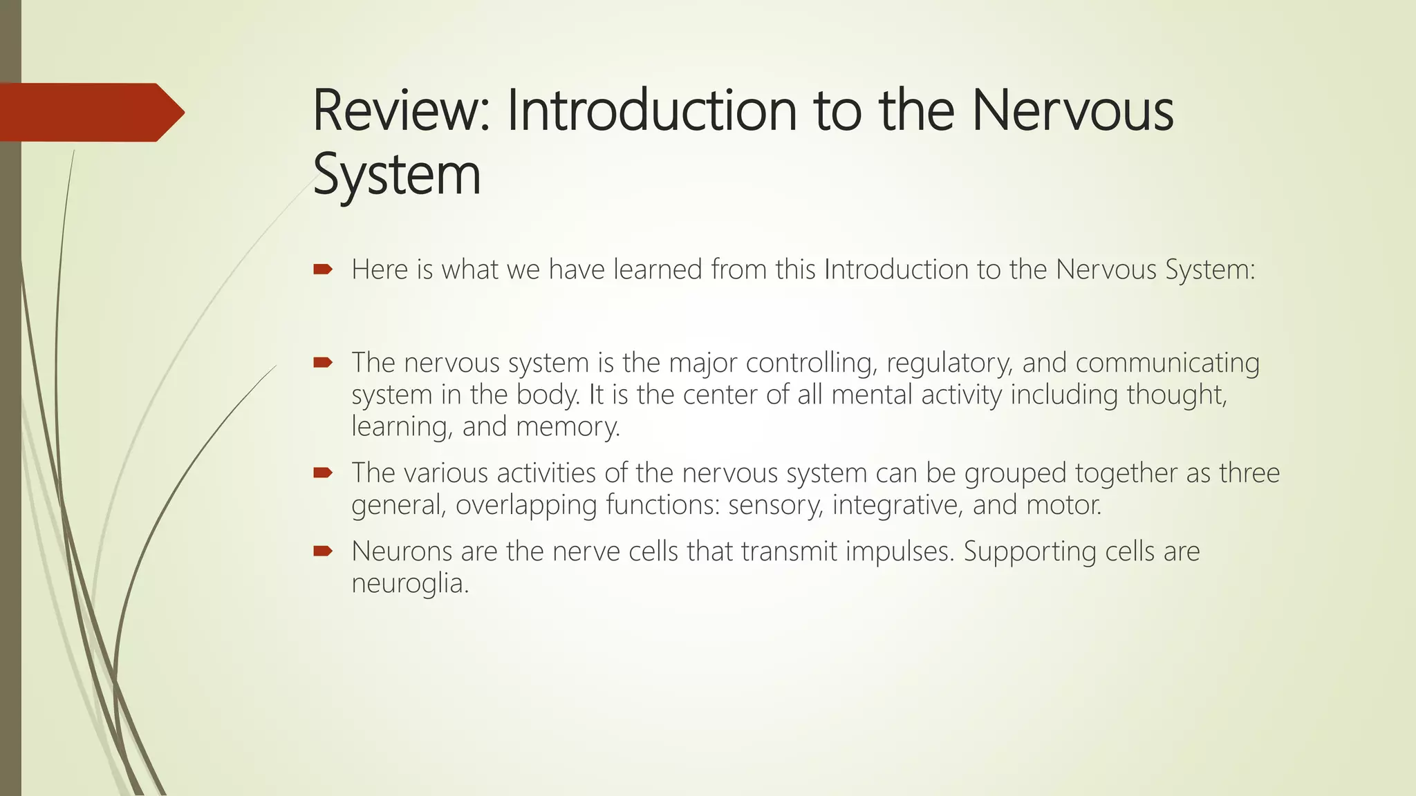 Review: Introduction to the Nervous
System
 Here is what we have learned from this Introduction to the Nervous System:
 The nervous system is the major controlling, regulatory, and communicating
system in the body. It is the center of all mental activity including thought,
learning, and memory.
 The various activities of the nervous system can be grouped together as three
general, overlapping functions: sensory, integrative, and motor.
 Neurons are the nerve cells that transmit impulses. Supporting cells are
neuroglia.
 