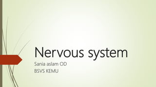 Nervous system
Sania aslam OD
BSVS KEMU
 