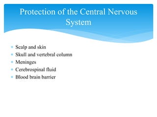 Central Nervous system of human body | PPTX