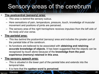 Sensory areas of the cerebrum
• The postcentral (sensory) area:
– This area is behind the sensory sulcus.
– Here sensations of pain, temperature, pressure, touch, knowledge of muscular
movement and positions of joints are perceived.
– The sensory area of the right hemisphere receives impulses from the left side of
the body and vice versa.
• The parietal area:
– This lies behind the postcentral (sensory) area and includes the greater part of
the parietal lobe of the cerebrum.
– Its functions are believed to be associated with obtaining and retaining
accurate knowledge of objects. It has been suggested that the objects can be
recognized by touch alone because of the knowledge from the past
experience (memory) retained in this area.
• The sensory speech area:
– This is situated in the lower part of the parietal lobe and extends into the
temporal lobe.
– It is here that the spoken word is perceived.
3/26/2020 26
 