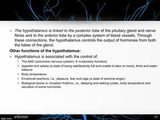 – The hypothalamus is linked to the posterior lobe of the pituitary gland and nerve
fibres and to the anterior lobe by a complex system of blood vessels. Through
these connections, the hypothalamus controls the output of hormones from both
the lobes of the gland.
Other functions of the hypothalamus:
– Hypothalamus is associated with the control of:
• The ANS (autonomic nervous system) → involuntary functions
• Appetite and satiety (a state of being satisfactorily full and unable to take on more), thirst and water
balance
• Body temperature
• Emotional reactions, i.e., pleasure, fear and rage (a state of extreme anger)
• Biological clocks or circadian rhythms, i.e., sleeping and waking cycles, body temperature and
secretion of some hormones.
3/26/2020 31
 