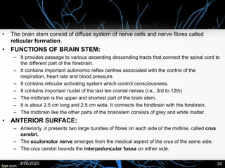 • The brain stem consist of diffuse system of nerve cells and nerve fibres called
reticular formation.
• FUNCTIONS OF BRAIN STEM:
– It provides passage to various ascending descending tracts that connect the spinal cord to
the different part of the forebrain.
– It contains important autonomic reflex centres associated with the control of the
respiration, heart rate and blood pressure.
– It contains reticular activating system which control consciousness.
– It contains important nuclei of the last ten cranial nerves (i.e., 3rd to 12th)
– The midbrain is the upper and shortest part of the brain stem.
– It is about 2.5 cm long and 2.5 cm wide. It connects the hindbrain with the forebrain.
– The midbrain like the other parts of the brainstem consists of grey and white matter.
• ANTERIOR SURFACE:
– Anteriorly ,it presents two large bundles of fibres on each side of the midline, called crus
cerebri.
– The oculomotor nerve emerges from the medical aspect of the crus of the same side.
– The crus cerebri bounds the interpeduncular fossa on either side.
3/26/2020 34
 