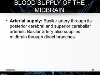 • Arterial supply: Basilar artery through its
posterior cerebral and superior cerebellar
arteries. Basilar artery also supplies
midbrain through direct branches.
3/26/2020 37
BLOOD SUPPLY OF THE
MIDBRAIN
 