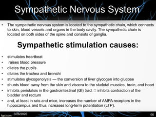 Sympathetic Nervous System
• The sympathetic nervous system is located to the sympathetic chain, which connects
to skin, blood vessels and organs in the body cavity. The sympathetic chain is
located on both sides of the spine and consists of ganglia.
• stimulates heartbeat
• raises blood pressure
• dilates the pupils
• dilates the trachea and bronchi
• stimulates glycogenolysis — the conversion of liver glycogen into glucose
• shunts blood away from the skin and viscera to the skeletal muscles, brain, and heart
• inhibits peristalsis in the gastrointestinal (GI) tract inhibits contraction of the
bladder and rectum
• and, at least in rats and mice, increases the number of AMPA receptors in the
hippocampus and thus increases long-term potentiation (LTP).
3/26/2020 66
Sympathetic stimulation causes:
 