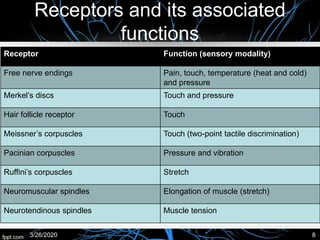 Receptors and its associated
functions
Receptor Function (sensory modality)
Free nerve endings Pain, touch, temperature (heat and cold)
and pressure
Merkel’s discs Touch and pressure
Hair follicle receptor Touch
Meissner’s corpuscles Touch (two-point tactile discrimination)
Pacinian corpuscles Pressure and vibration
Ruffini’s corpuscles Stretch
Neuromuscular spindles Elongation of muscle (stretch)
Neurotendinous spindles Muscle tension
3/26/2020 8
 