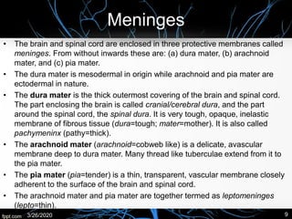 Meninges
• The brain and spinal cord are enclosed in three protective membranes called
meninges. From without inwards these are: (a) dura mater, (b) arachnoid
mater, and (c) pia mater.
• The dura mater is mesodermal in origin while arachnoid and pia mater are
ectodermal in nature.
• The dura mater is the thick outermost covering of the brain and spinal cord.
The part enclosing the brain is called cranial/cerebral dura, and the part
around the spinal cord, the spinal dura. It is very tough, opaque, inelastic
membrane of fibrous tissue (dura=tough; mater=mother). It is also called
pachymeninx (pathy=thick).
• The arachnoid mater (arachnoid=cobweb like) is a delicate, avascular
membrane deep to dura mater. Many thread like tuberculae extend from it to
the pia mater.
• The pia mater (pia=tender) is a thin, transparent, vascular membrane closely
adherent to the surface of the brain and spinal cord.
• The arachnoid mater and pia mater are together termed as leptomeninges
(lepto=thin).
3/26/2020 9
 