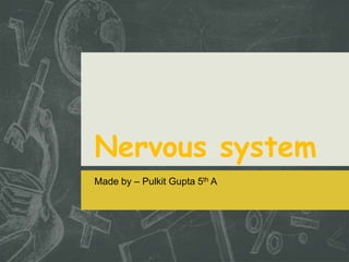 Nervous system
Made by – Pulkit Gupta 5th A
 