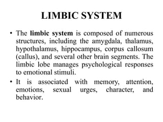 LIMBIC SYSTEM
• The limbic system is composed of numerous
structures, including the amygdala, thalamus,
hypothalamus, hippocampus, corpus callosum
(callus), and several other brain segments. The
limbic lobe manages psychological responses
to emotional stimuli.
• It is associated with memory, attention,
emotions, sexual urges, character, and
behavior.
 