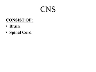 CNS
CONSIST OF:
• Brain
• Spinal Cord
 