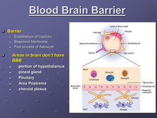 Blood Brain Barrier
Barrier
 Endothelium of Capillary
 Basement Membrane
 Foot process of Astrocyte
Areas in brain don’t have
BBB
 portion of hypothalamus
 pineal gland
 Pituitary
 Area Postrema
 choroid plexus
 