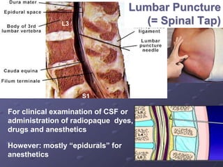 Lumbar Puncture
(= Spinal Tap)
For clinical examination of CSF or
administration of radiopaque dyes,
drugs and anesthetics
However: mostly “epidurals” for
anesthetics
L3
S1
 