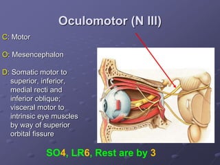 Oculomotor (N III)
C: Motor
O: Mesencephalon
D: Somatic motor to
superior, inferior,
medial recti and
inferior oblique;
visceral motor to
intrinsic eye muscles
by way of superior
orbital fissure
SO4, LR6, Rest are by 3
 