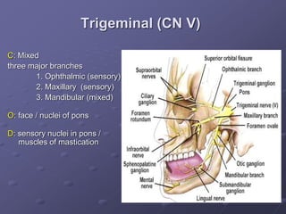 Trigeminal (CN V)
C: Mixed
three major branches
1. Ophthalmic (sensory)
2. Maxillary (sensory)
3. Mandibular (mixed)
O: face / nuclei of pons
D: sensory nuclei in pons /
muscles of mastication
 