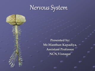 Nervous System
Presented by:
Mr.Manthan Kapadiya,
Assistant Professor
NCN,Visnagar
 