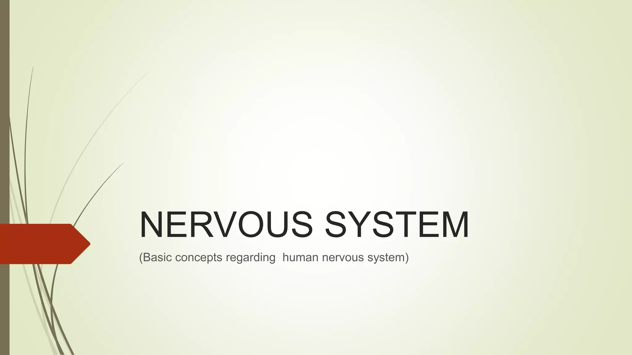 NERVOUS SYSTEM
(Basic concepts regarding human nervous system)
 