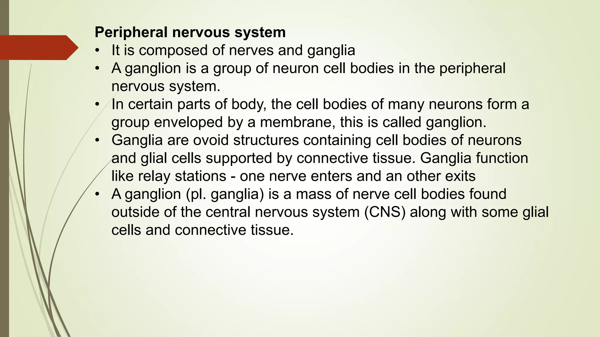 Peripheral nervous system
• It is composed of nerves and ganglia
• A ganglion is a group of neuron cell bodies in the peripheral
nervous system.
• In certain parts of body, the cell bodies of many neurons form a
group enveloped by a membrane, this is called ganglion.
• Ganglia are ovoid structures containing cell bodies of neurons
and glial cells supported by connective tissue. Ganglia function
like relay stations - one nerve enters and an other exits
• A ganglion (pl. ganglia) is a mass of nerve cell bodies found
outside of the central nervous system (CNS) along with some glial
cells and connective tissue.
 