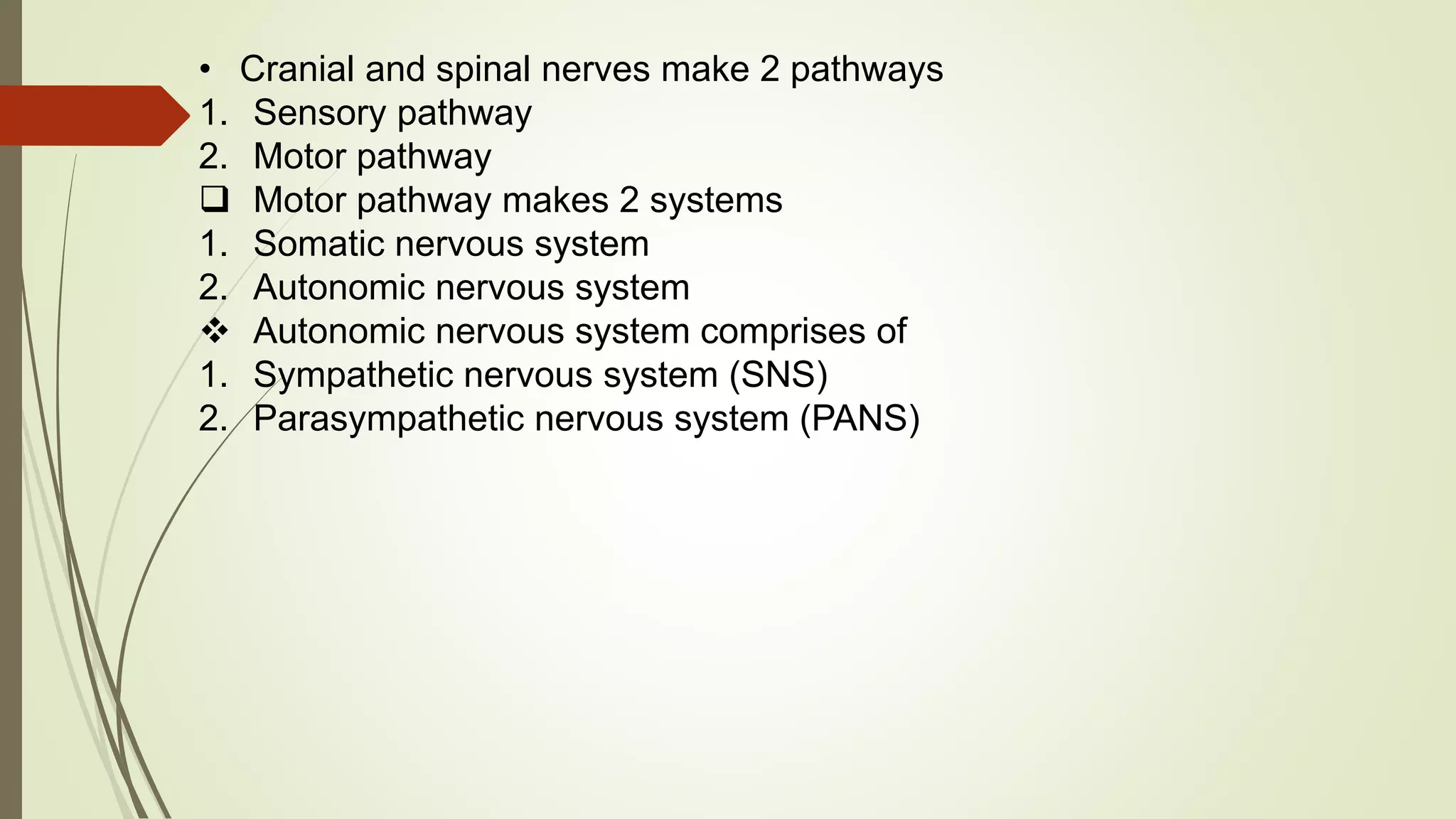 • Cranial and spinal nerves make 2 pathways
1. Sensory pathway
2. Motor pathway
 Motor pathway makes 2 systems
1. Somatic nervous system
2. Autonomic nervous system
 Autonomic nervous system comprises of
1. Sympathetic nervous system (SNS)
2. Parasympathetic nervous system (PANS)
 