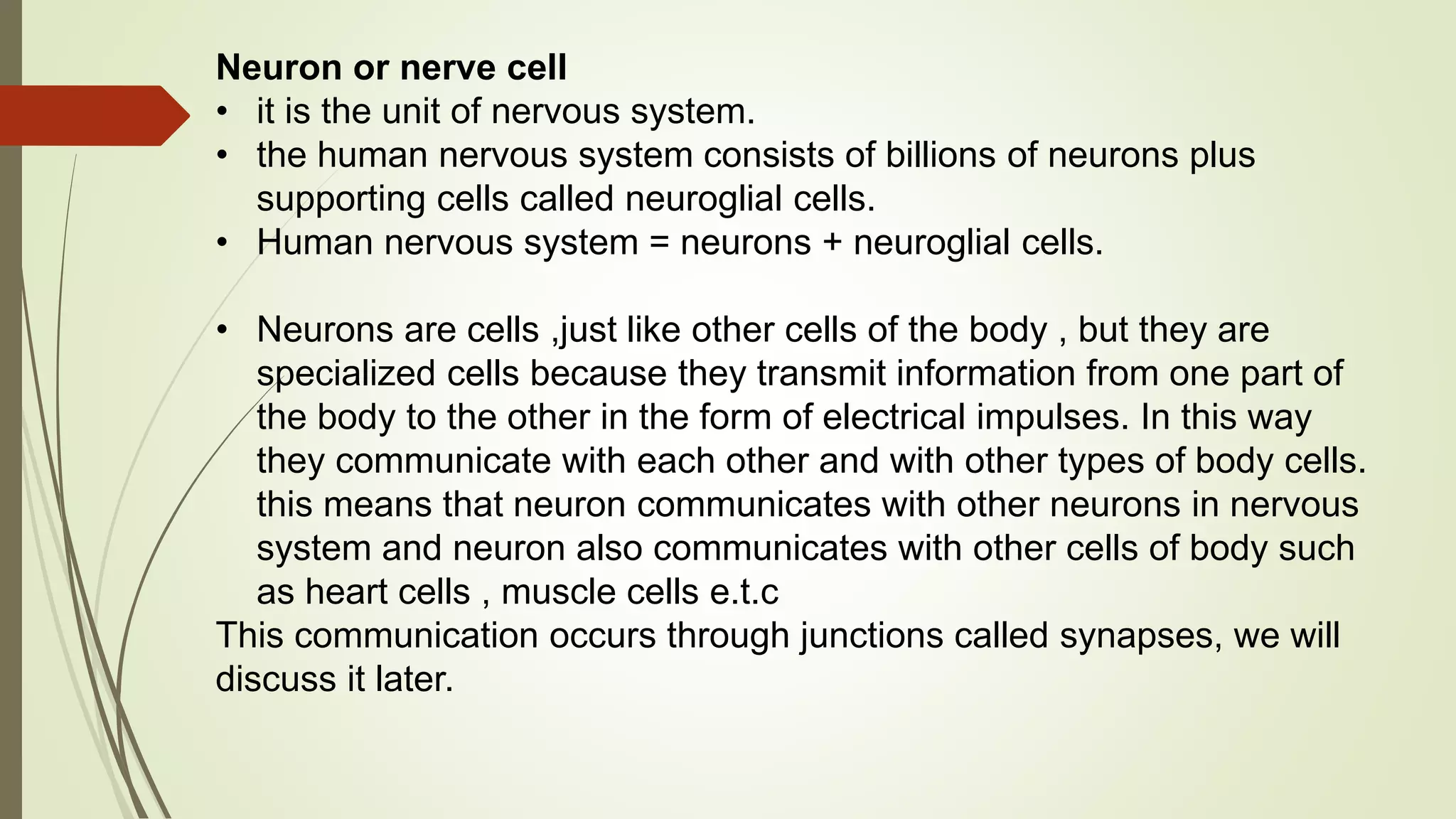 Neuron or nerve cell
• it is the unit of nervous system.
• the human nervous system consists of billions of neurons plus
supporting cells called neuroglial cells.
• Human nervous system = neurons + neuroglial cells.
• Neurons are cells ,just like other cells of the body , but they are
specialized cells because they transmit information from one part of
the body to the other in the form of electrical impulses. In this way
they communicate with each other and with other types of body cells.
this means that neuron communicates with other neurons in nervous
system and neuron also communicates with other cells of body such
as heart cells , muscle cells e.t.c
This communication occurs through junctions called synapses, we will
discuss it later.
 