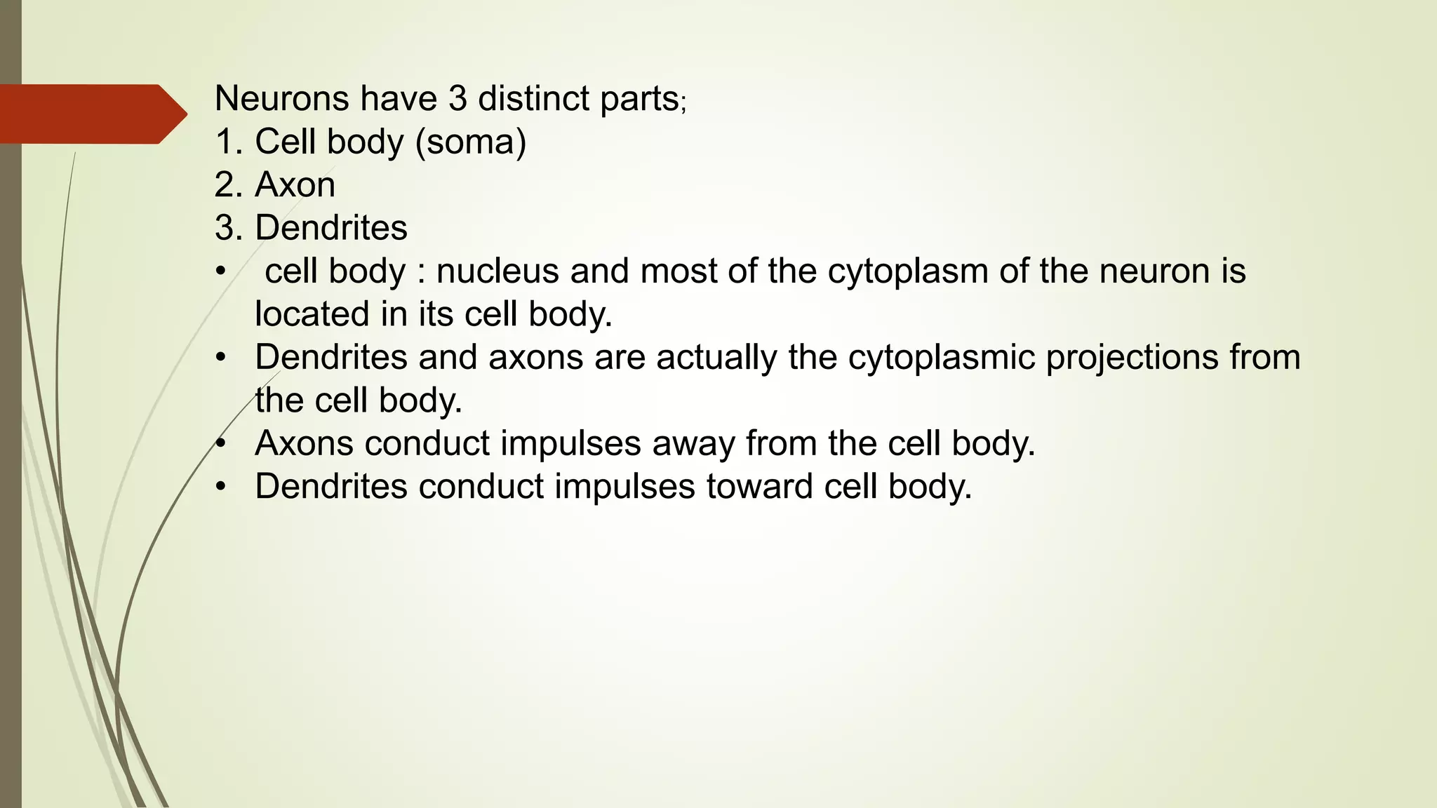 Neurons have 3 distinct parts;
1. Cell body (soma)
2. Axon
3. Dendrites
• cell body : nucleus and most of the cytoplasm of the neuron is
located in its cell body.
• Dendrites and axons are actually the cytoplasmic projections from
the cell body.
• Axons conduct impulses away from the cell body.
• Dendrites conduct impulses toward cell body.
 