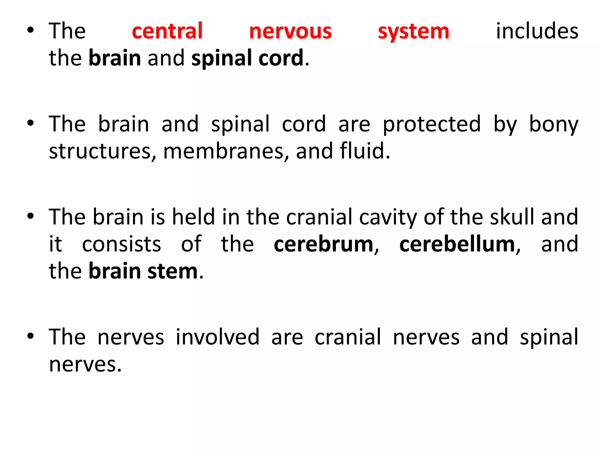 Nervous system | PPT